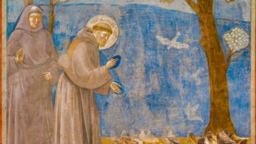 The beautiful fresco painted by Giotto depicting Saint Francis talking to birds inside the Basilica Superiore di San Francesco (Upper Basilica of Saint Francis), in the medieval heart of Assisi, in Umbria. Giotto painted a series of great frescoes along the walls of the single nave of the Basilica between 1292 and 1305, depicting the Stories of St. Francis, from his vocation to his death. Built in the Italian Gothic style starting from 1228 and completed in 1253, the Basilica preserves the mortal remains of the Saint of the Poor since 1230. The construction of the Basilica consists of a Lower Basilica and an Upper Basilica, perfectly integrated. Over the centuries Assisi and the spirituality of its sacred places have become a symbol of peace, a point of reference for tolerance and solidarity between peoples and between the different confessions of the world. The Umbria region, considered the green lung of Italy for its wooded mountains, is characterized by a perfect integration between nature and the presence of man, in a context of environmental sustainability and healthy life. In addition to its immense artistic and historical heritage, Umbria is famous for its food and wine production and for the high quality of the olive oil produced in these lands. Since 2000 the Basilica and other Franciscan sites of Assisi have been declared a World Heritage Site by UNESCO. Image in high definition format.