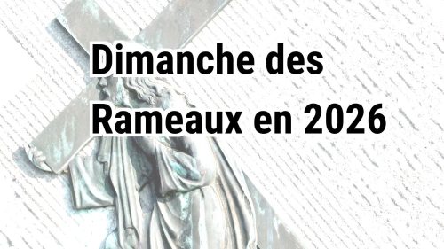 ampimage